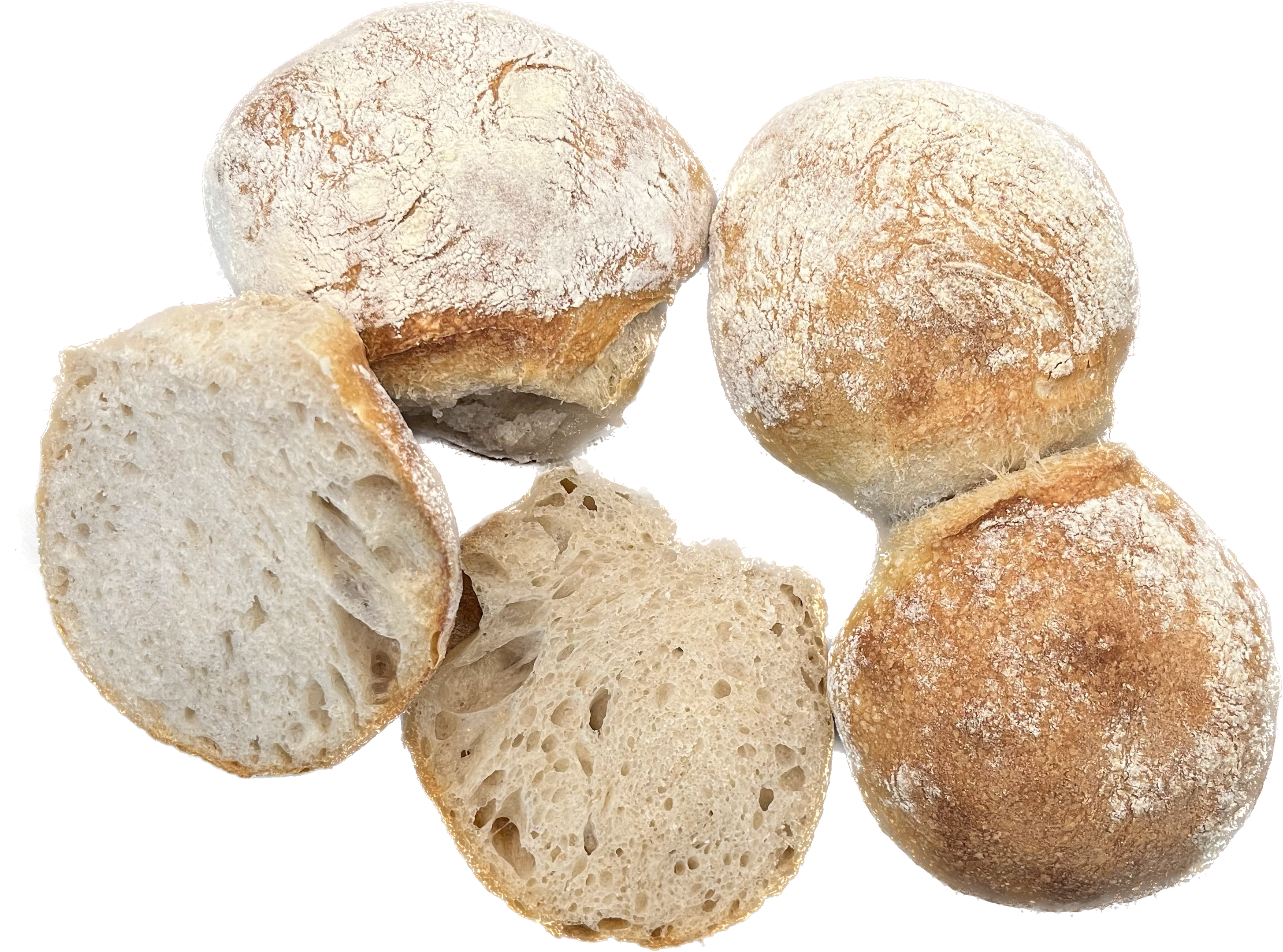 PANEUM 145 Sankt Galler Bürli