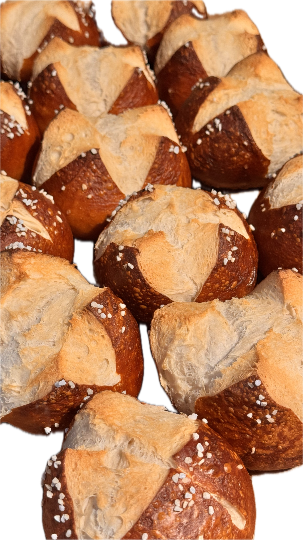 PANEUM 145 Schwäbische Laugenbrötchen