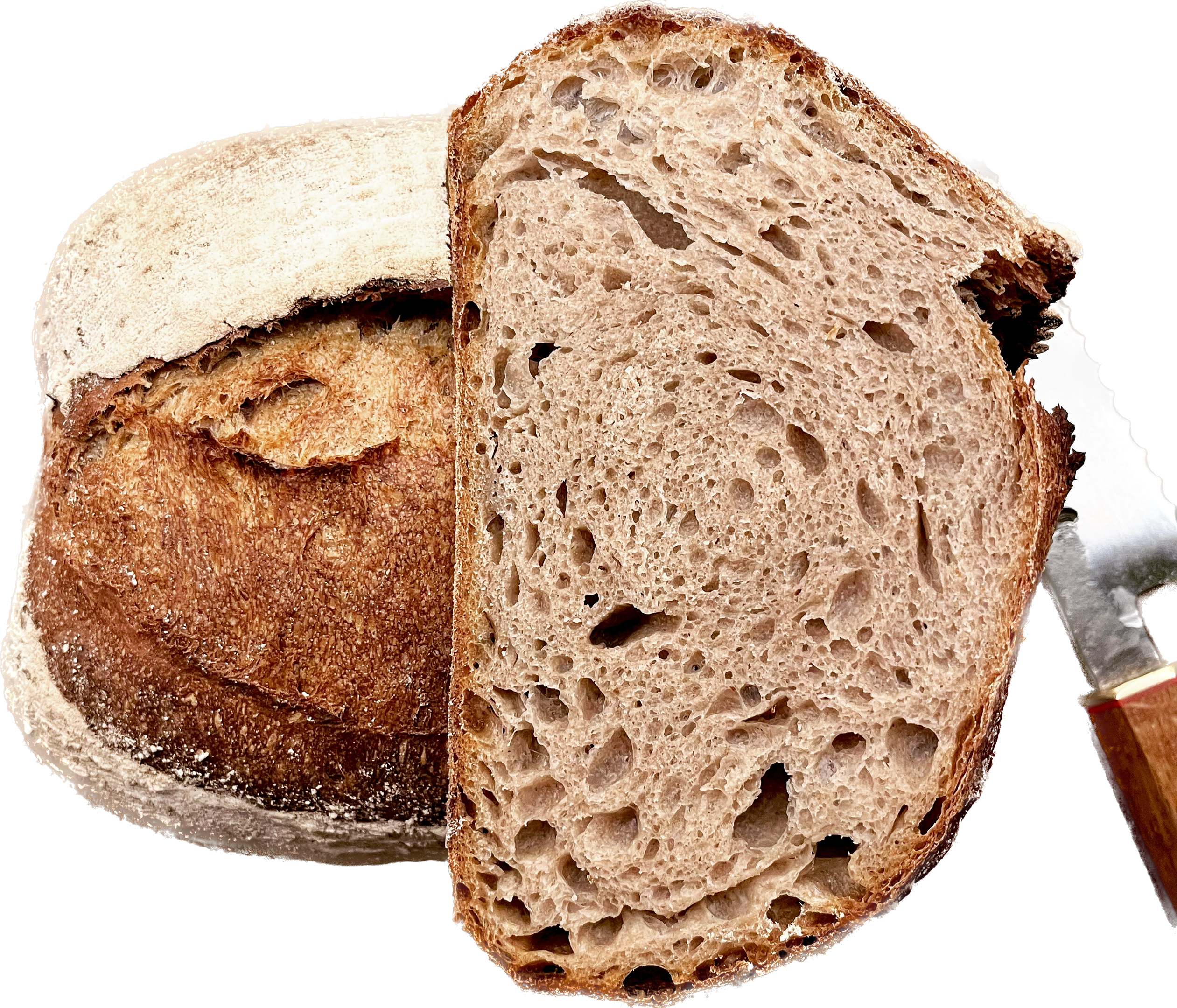 PANEUM 145 Lantbröd med Lichtkorn-Råg