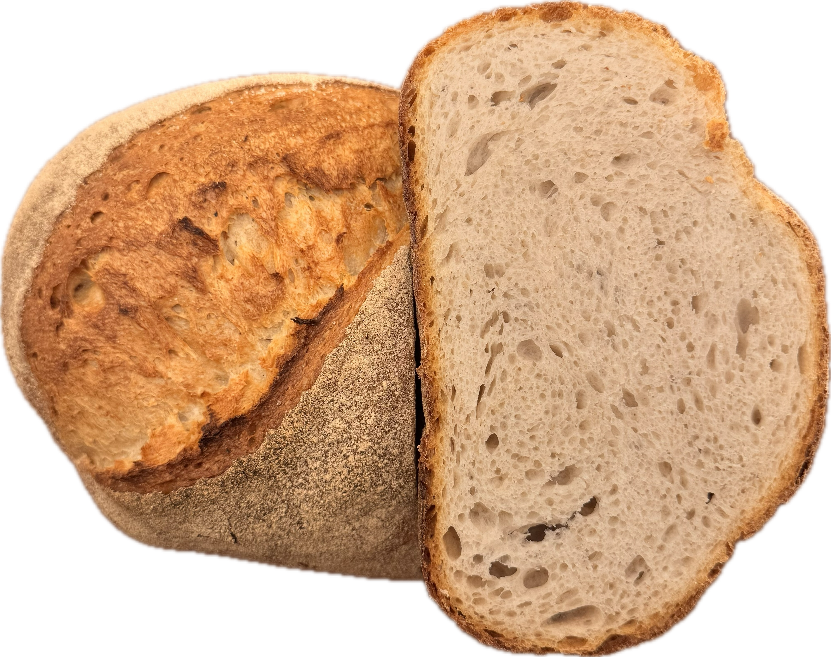 PANEUM 145 Pan de pueblo espelta