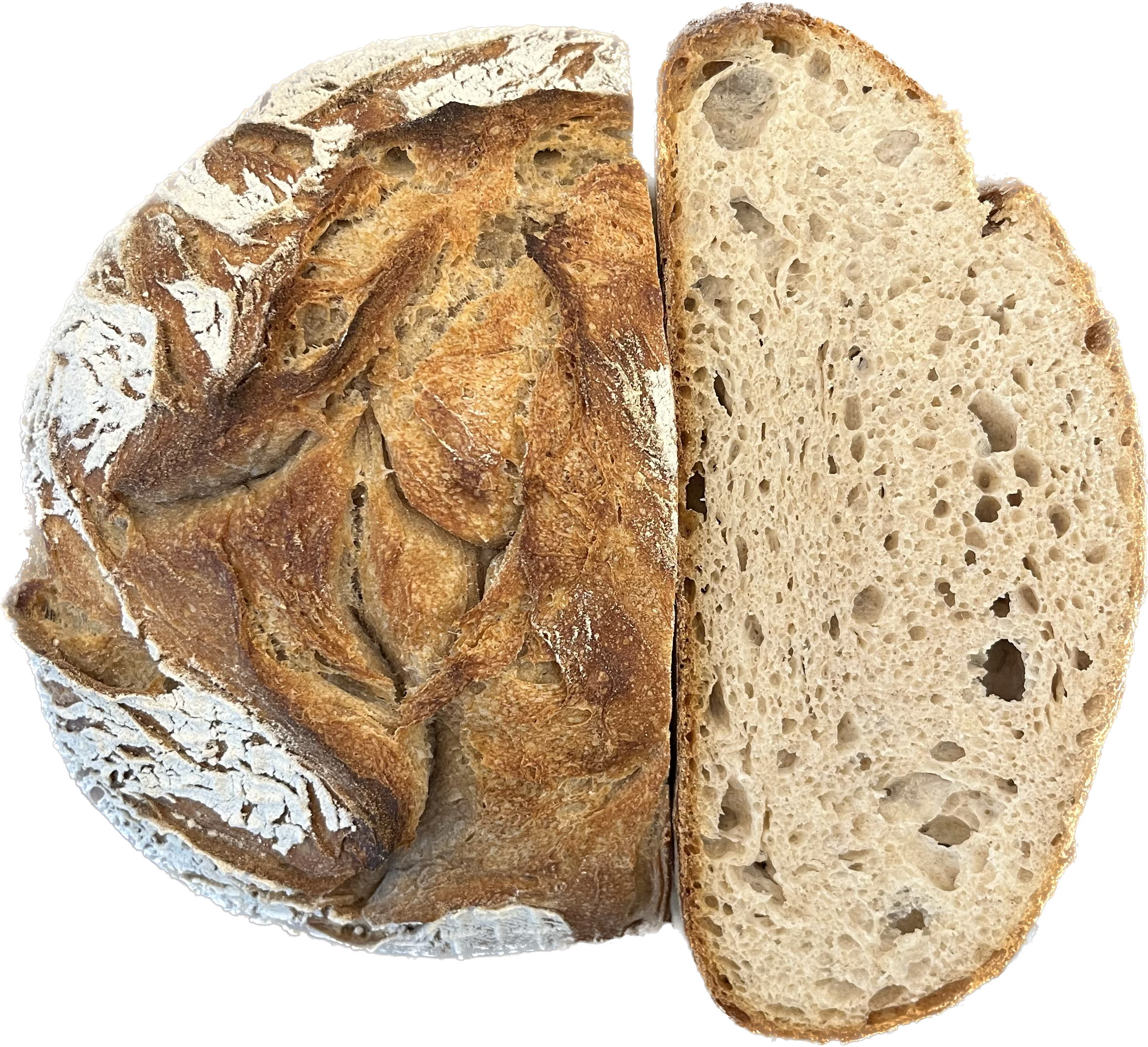 PANEUM 145 Rupertiwinkel Lichtkorn-råg Kruste