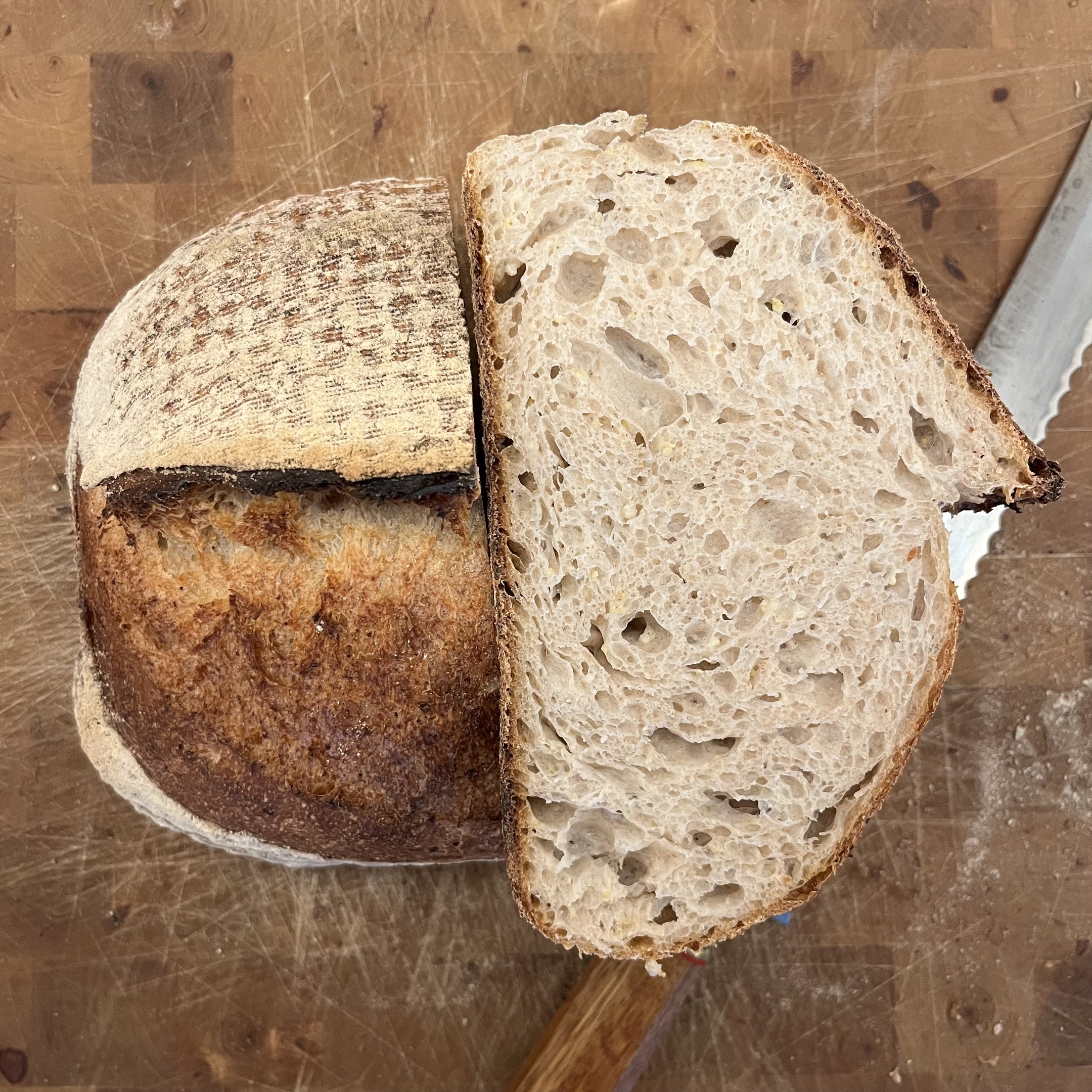 PANEUM 145 Lantbröd med Guldhirs